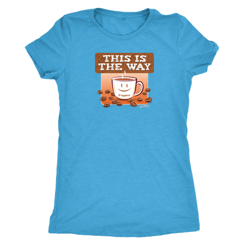 Image of This is the Way - Womens Triblend Shirt by Next Level