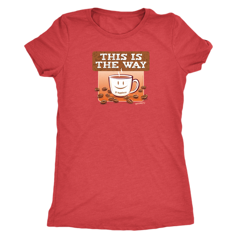 Image of This is the Way - Womens Triblend Shirt by Next Level