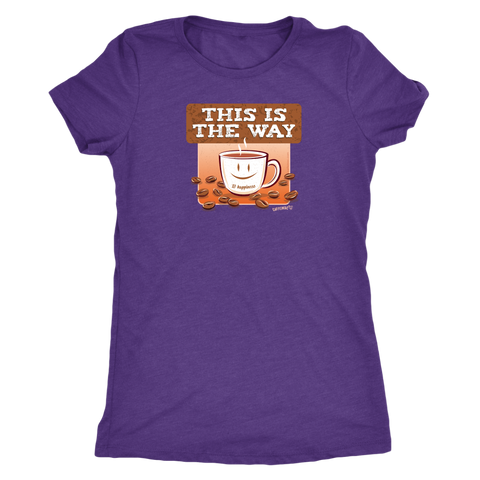 Image of This is the Way - Womens Triblend Shirt by Next Level